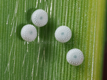 P7210882