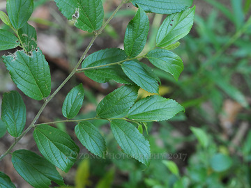 P6230537