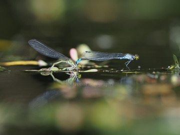 P5122481