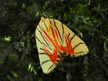 P7210148