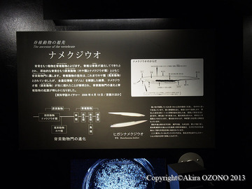 P1269960