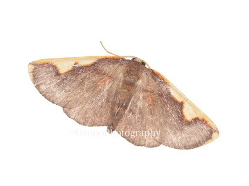 P4171306