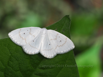 P4240043