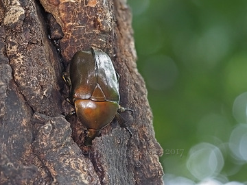P6220346