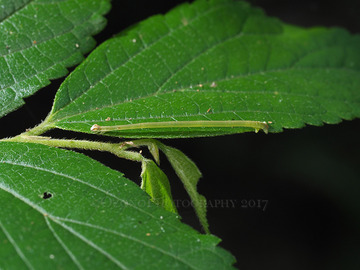 P6230541