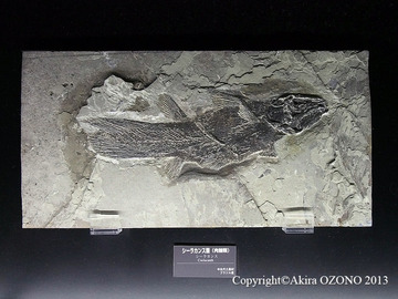 P1269953