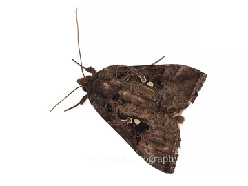 P4171313