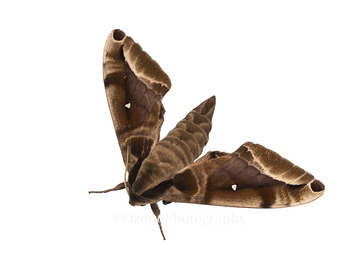 P4161226