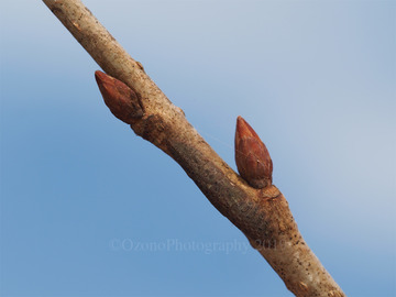 P1100144