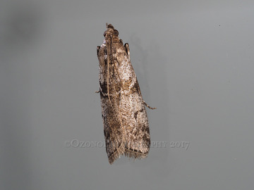 P7210028