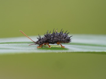 P6170315