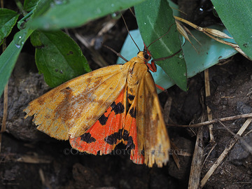 P7210082