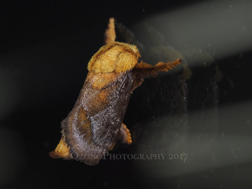 P7210041