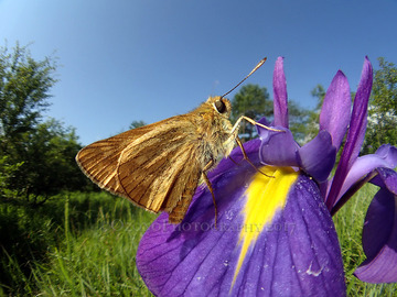 P7210151