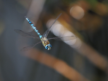 P9180131