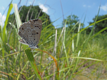 P7212604