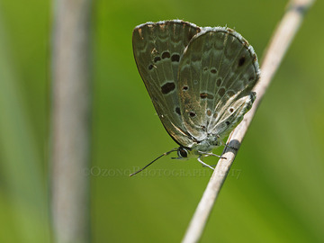 P7212628