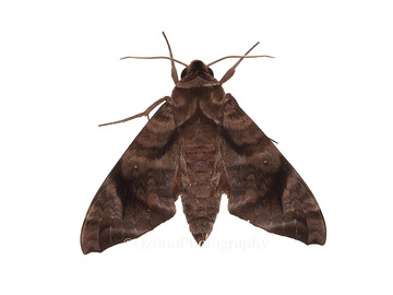 P4171351
