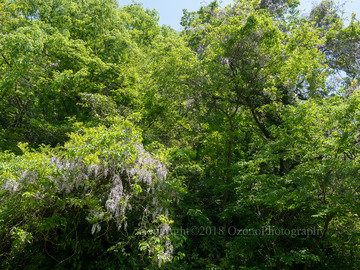 P4220296