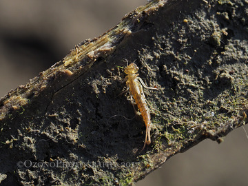 P1070047