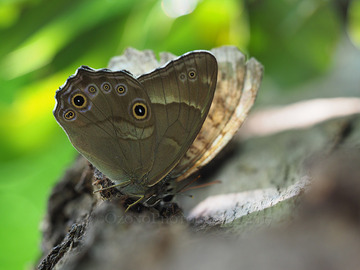 P6150922