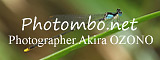 photombo.net