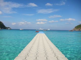 IMG_3973_320