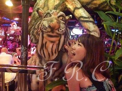 プーケット夜遊びツアーゴーゴーバー置屋