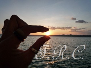 ¥×¡¼¥±¥Ã¥È ¥Ñ¥ó¥¬¡¼ÏÑ ¥·¡¼¥«¥Ì¡¼ ¥¹¥Ñ ´Ñ¸÷