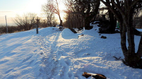 DSCN0328