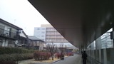 4d39c842.jpg