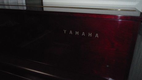 2016_0108_163909-IMGP0047