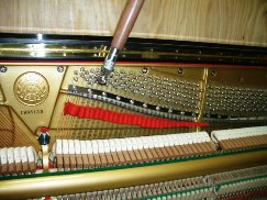 a9efec84.jpg