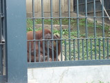 zoo4.jpg