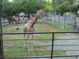 zoo3.jpg