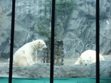 zoo5.jpg