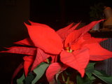 DSCF0014