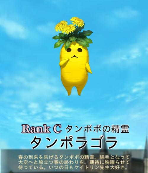 タンポラゴラ