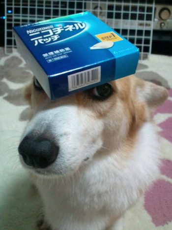 05b44d5d.jpg