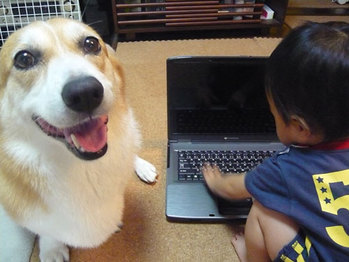 狂牛病