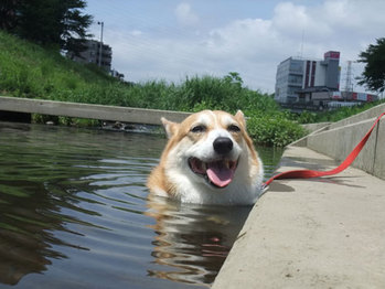ぬるっ
