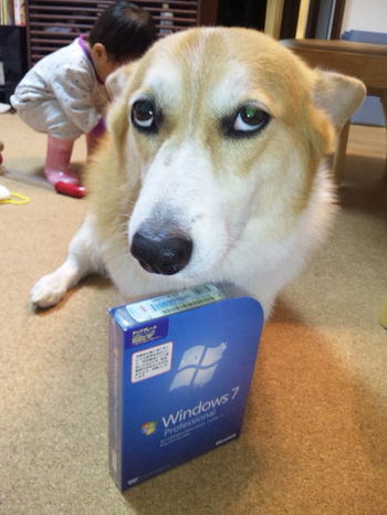 842160ed.jpg