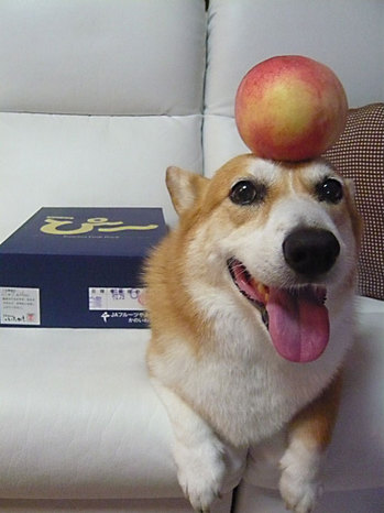 ぴ〜