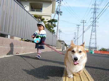 おさんぽ