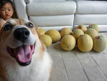 ゴロゴロ
