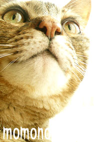 20070616