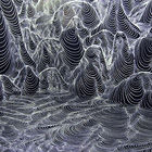 150x150
