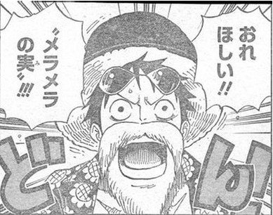 ルフィメラメラの実欲しい