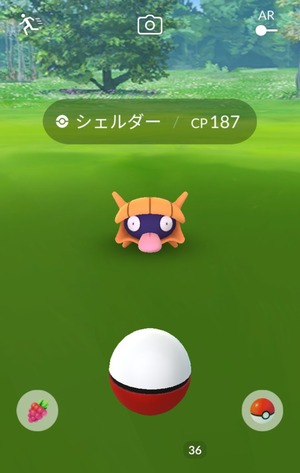 色シェルダー