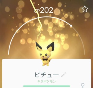 キラポケモン